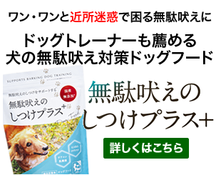 �����v���X �̔��X